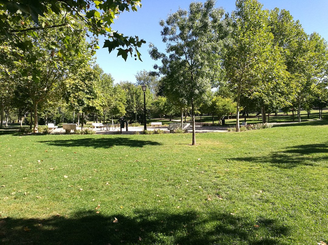 Parque de la Laguna del Carrizal