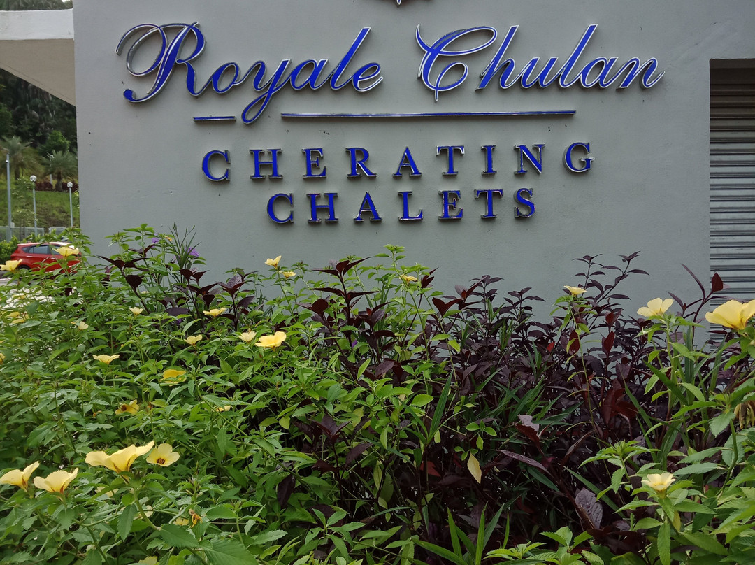Royale Chulan Cherating Chalet主图