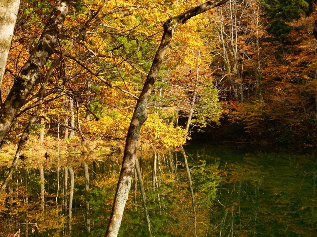 Ryugakubonomizu-津南町必去景点