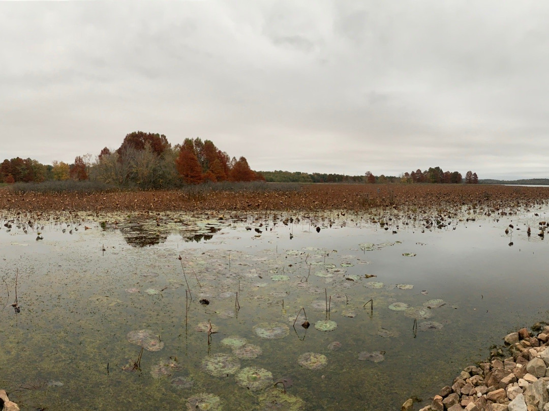 Mermet Lake State Fish and Wildlife Are-Belknap必去景点