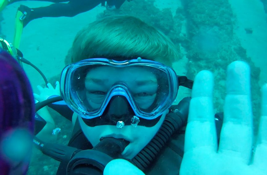 Dive In Baja-Los Barriles必去景点