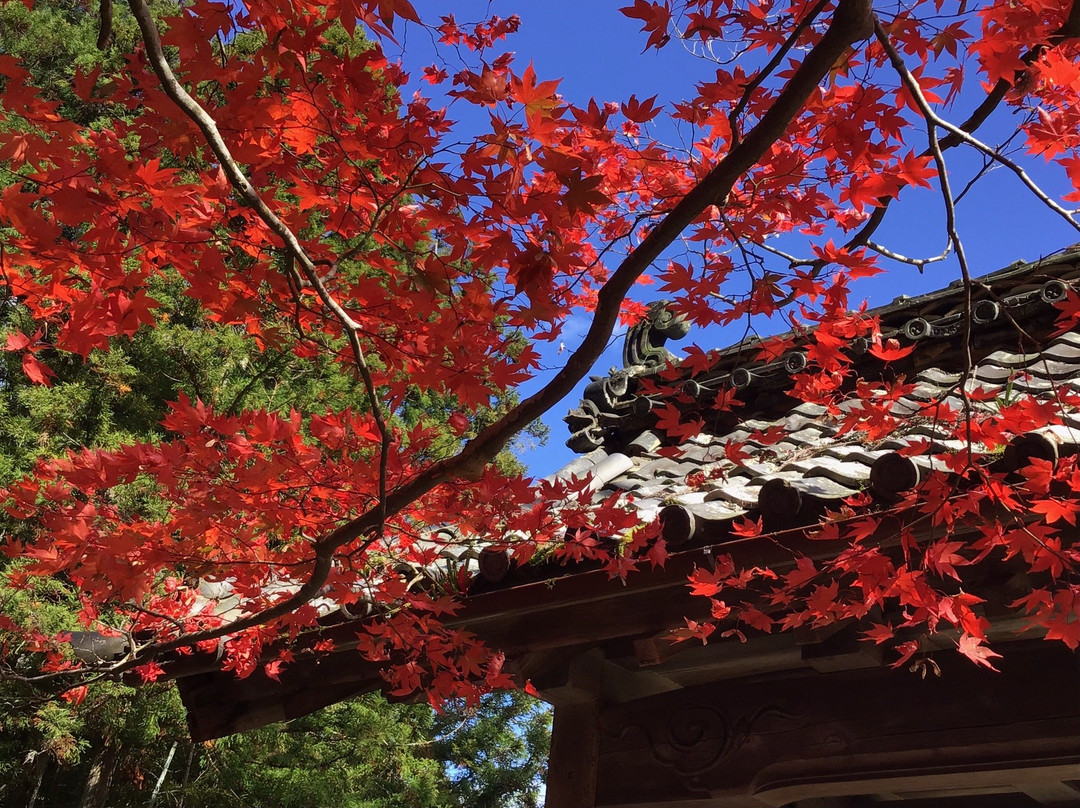 Ryuonji Temple-南丹市必去景点