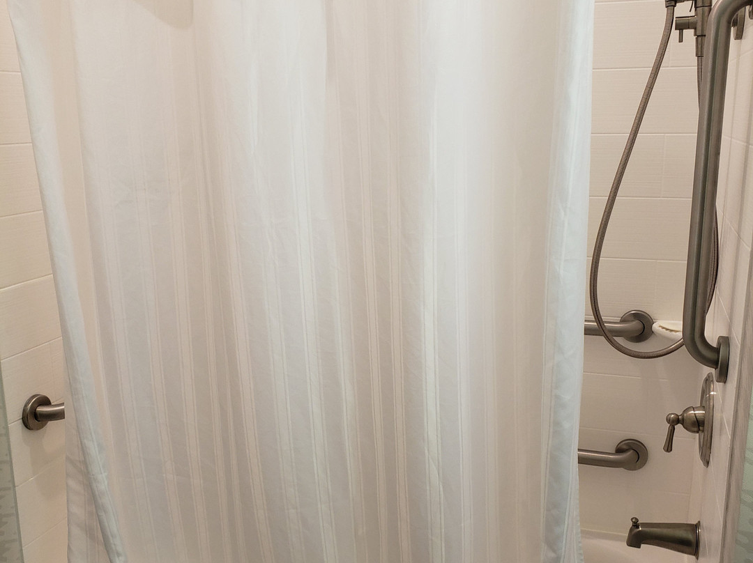 Home2 Suites by Hilton Tampa USF Near Busch Gardens主图