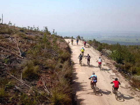 Vivid Bike Co-开普敦中心区必去景点