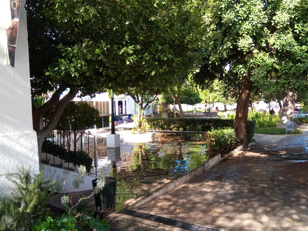 Jardim Doutor Santiago景点图片