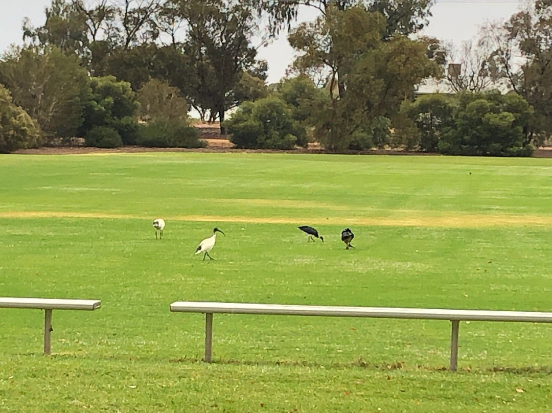Quandong Park-Red Cliffs必去景点
