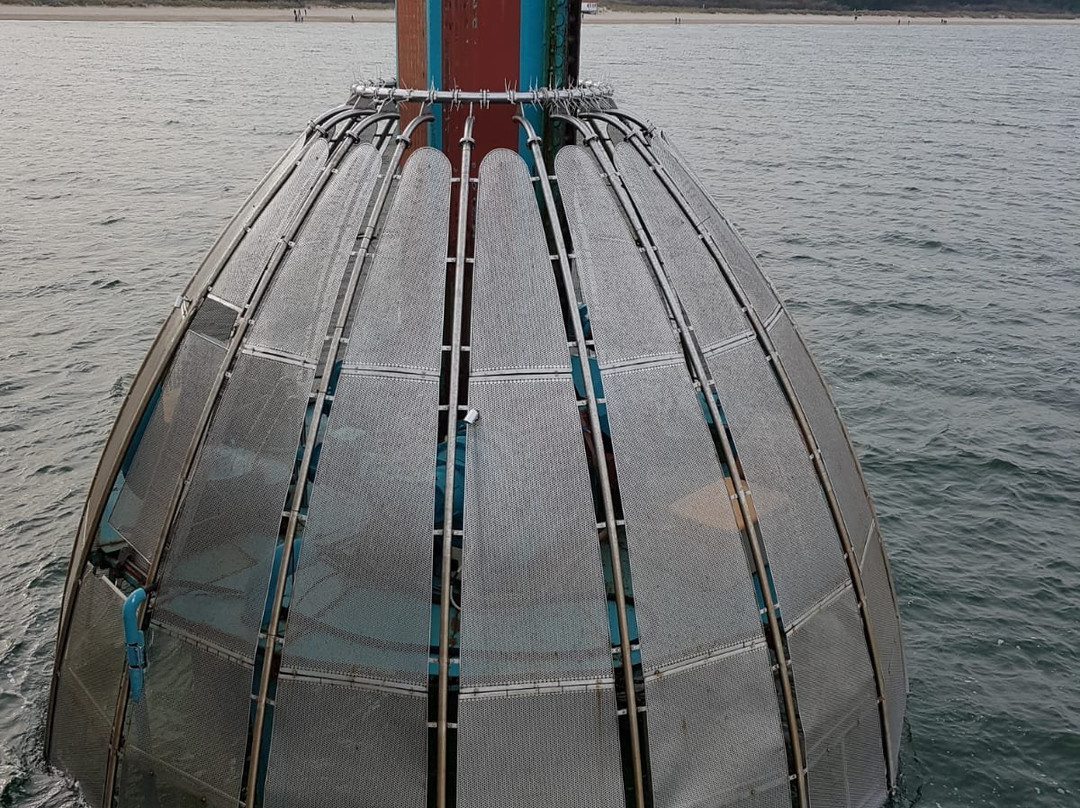 Seebrueke Koserow an der Ostsee景点图片