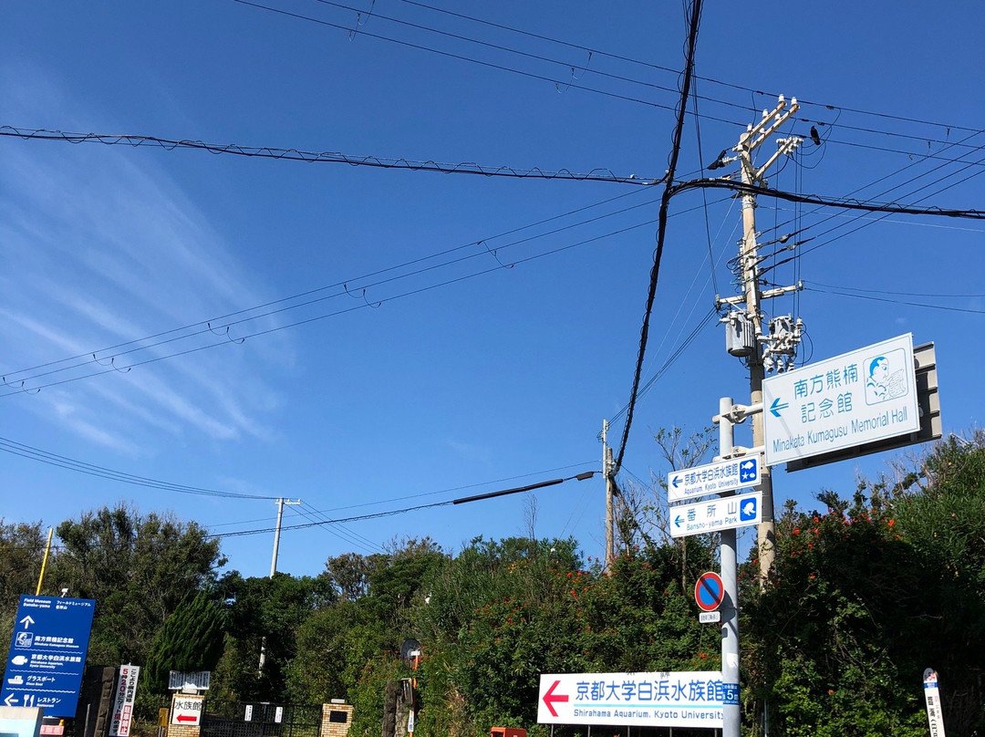 Minakata Kumagusu Museum景点图片