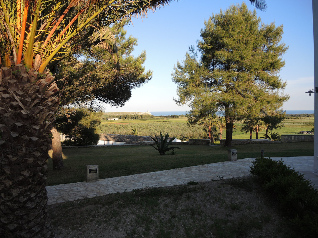 Masseria Panareo主图