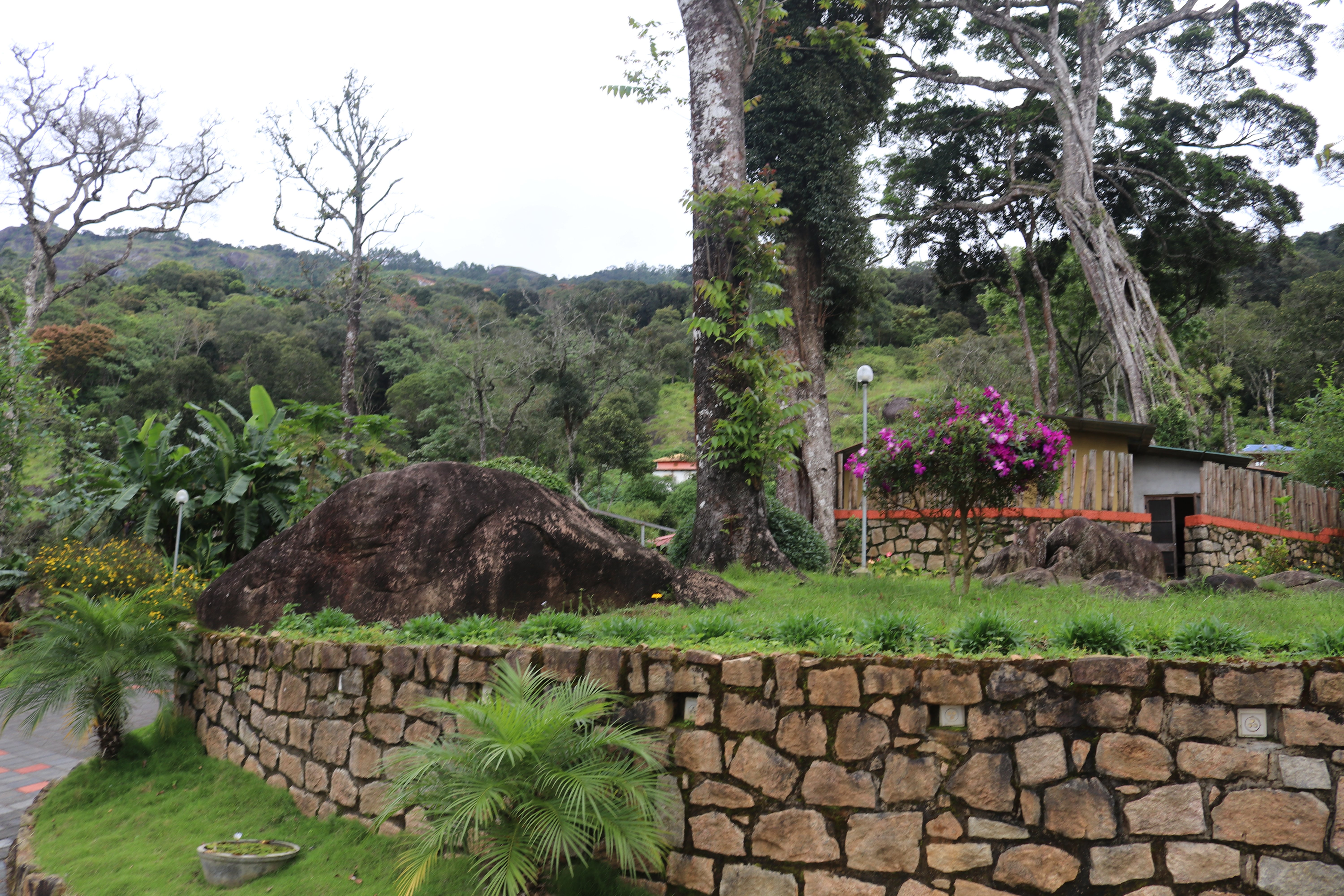 Neelakurunji Luxury Plantation Bungalow-酒店景观