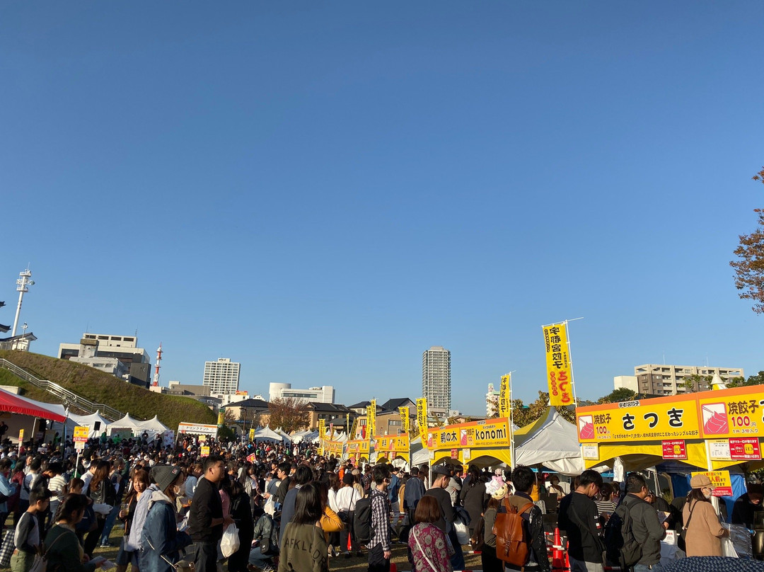 Utsunomiya Gyoza Festival景点图片