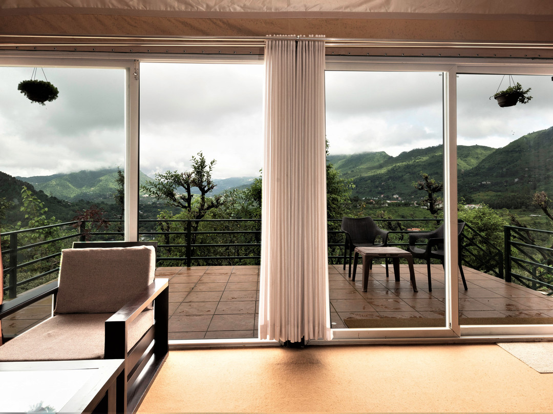 Nest And Hives主图