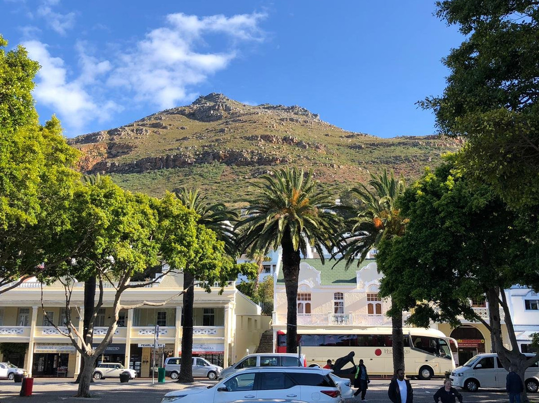 Private Cape Tours-康士坦提亚必去景点