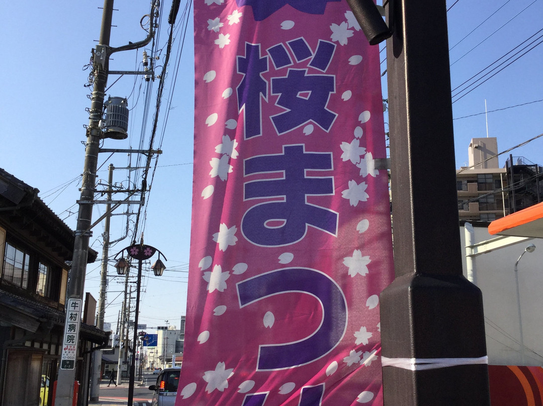 Satte Cherry Blossom Matsui-幸手市必去景点