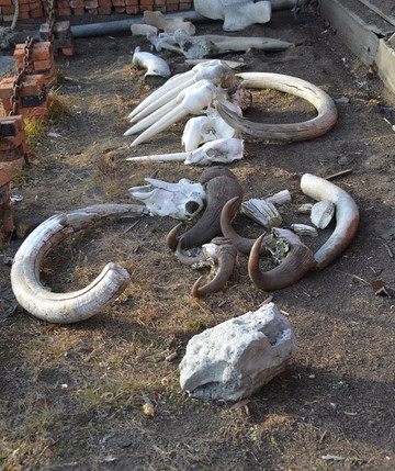 Sovetskaya Mountain-Wrangel Island必去景点