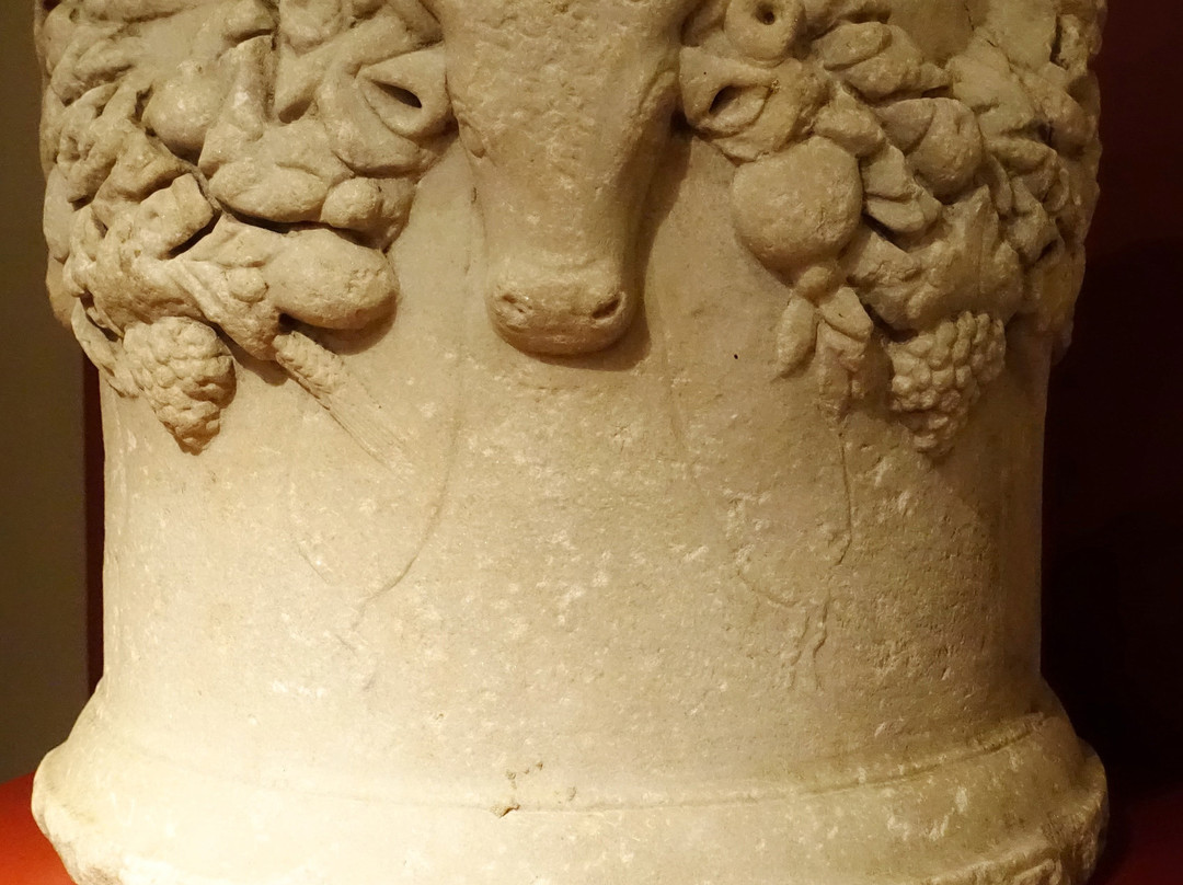 Leeds City Museum-利兹必去景点
