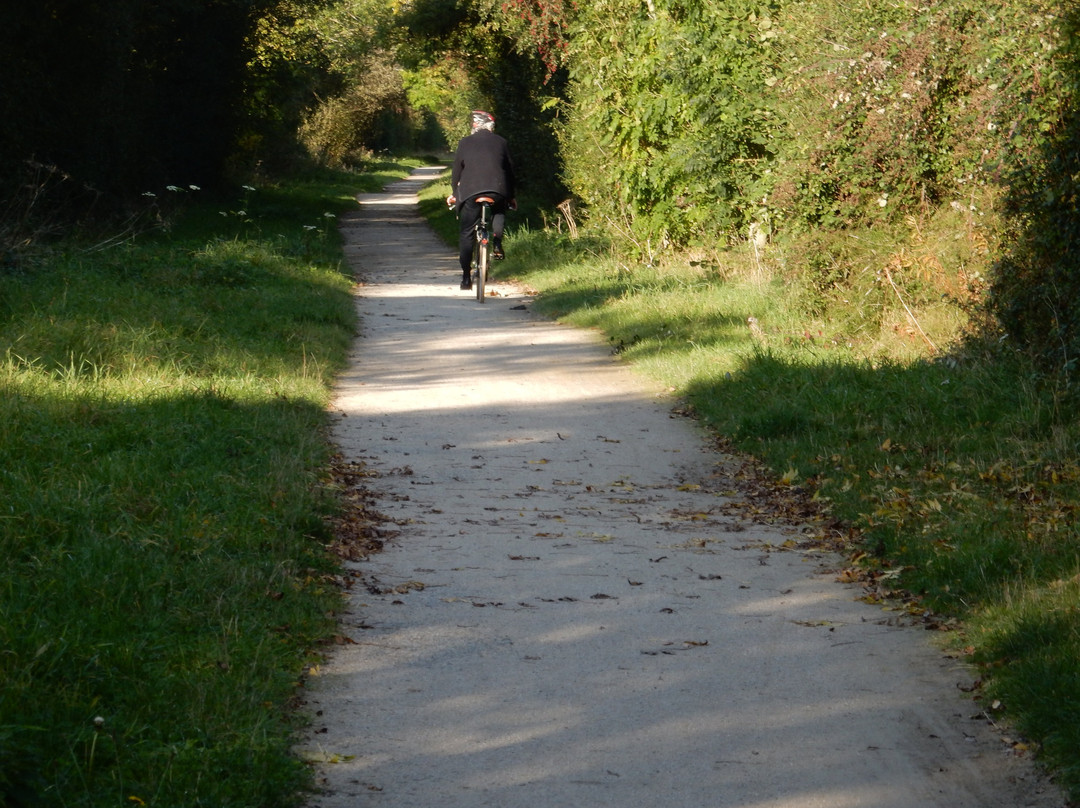 Stratford Bike Hire-埃文河畔斯特拉特福必去景点