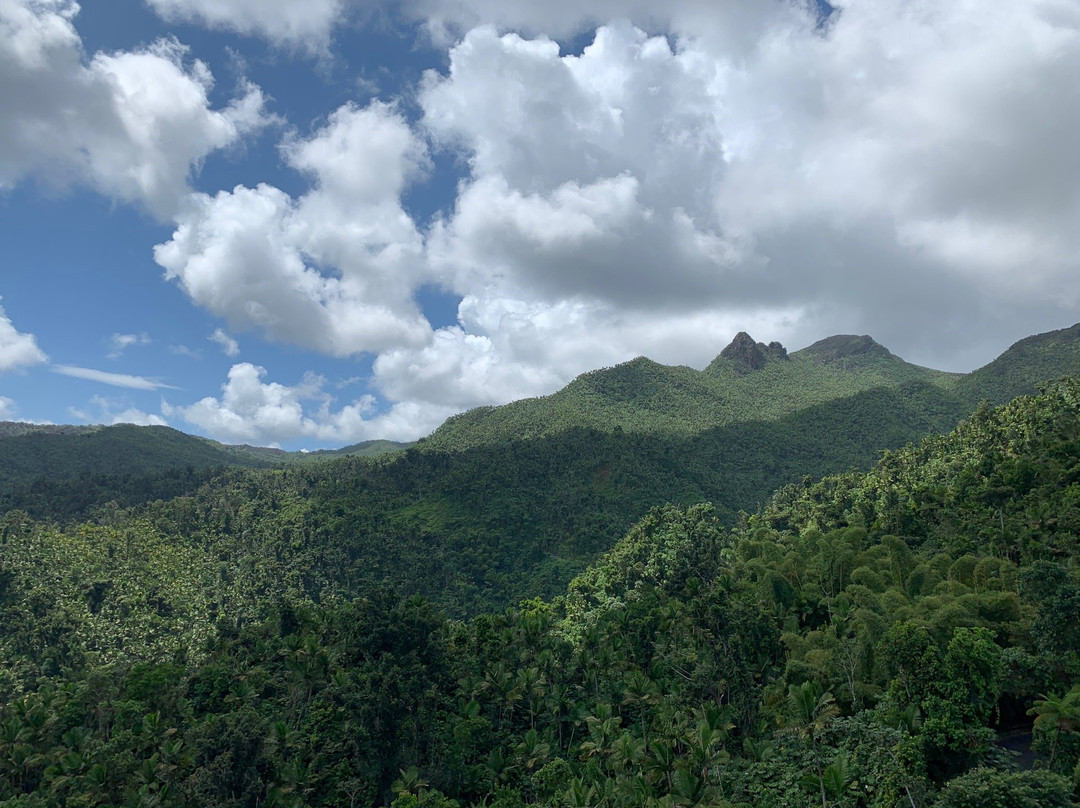 Yokahu Tower-Rio Grande必去景点
