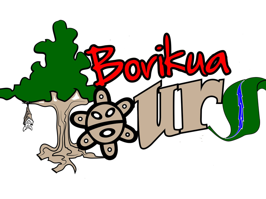 Borikua Tours-圣胡安必去景点