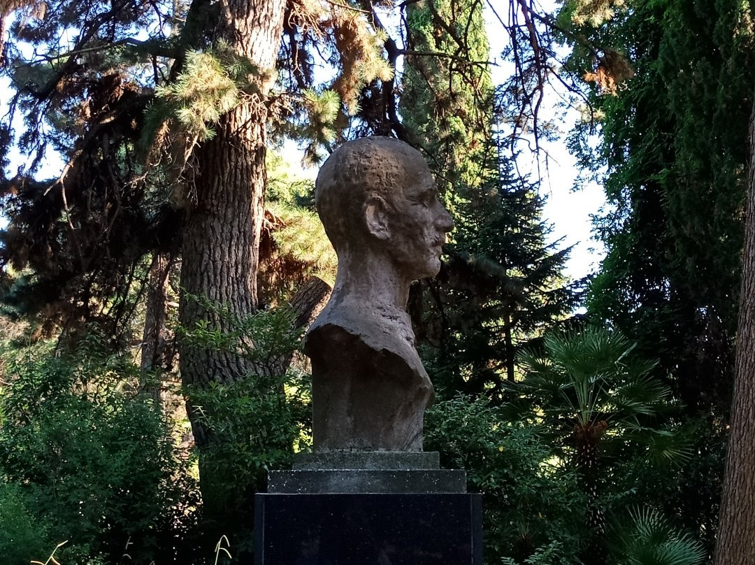 Arboretum Park-索契必去景点