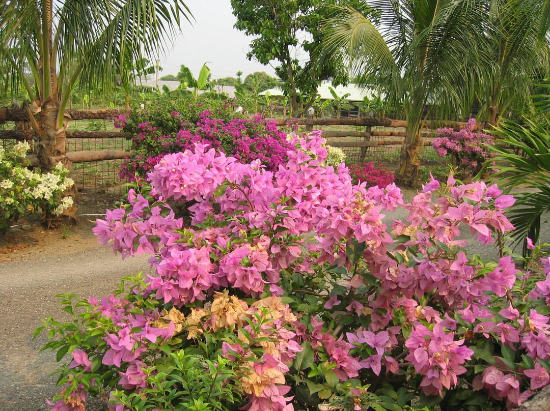 Zemis Tobacco and Cigars Factory-圣地亚哥必去景点
