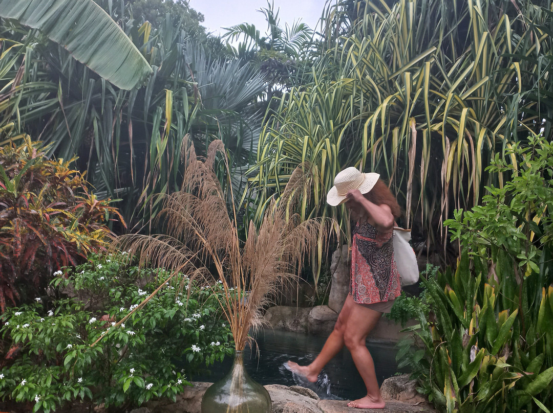 AquaSpa at Sweetfield-布里奇顿必去景点