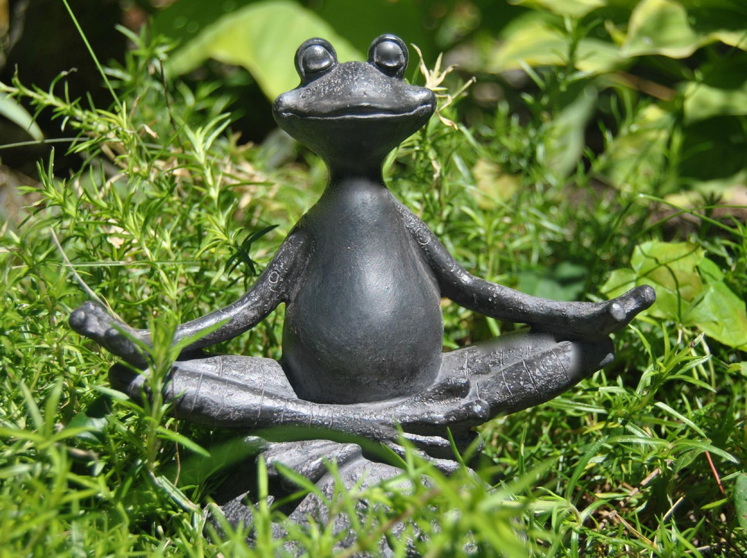 Fat Frog Yoga景点图片
