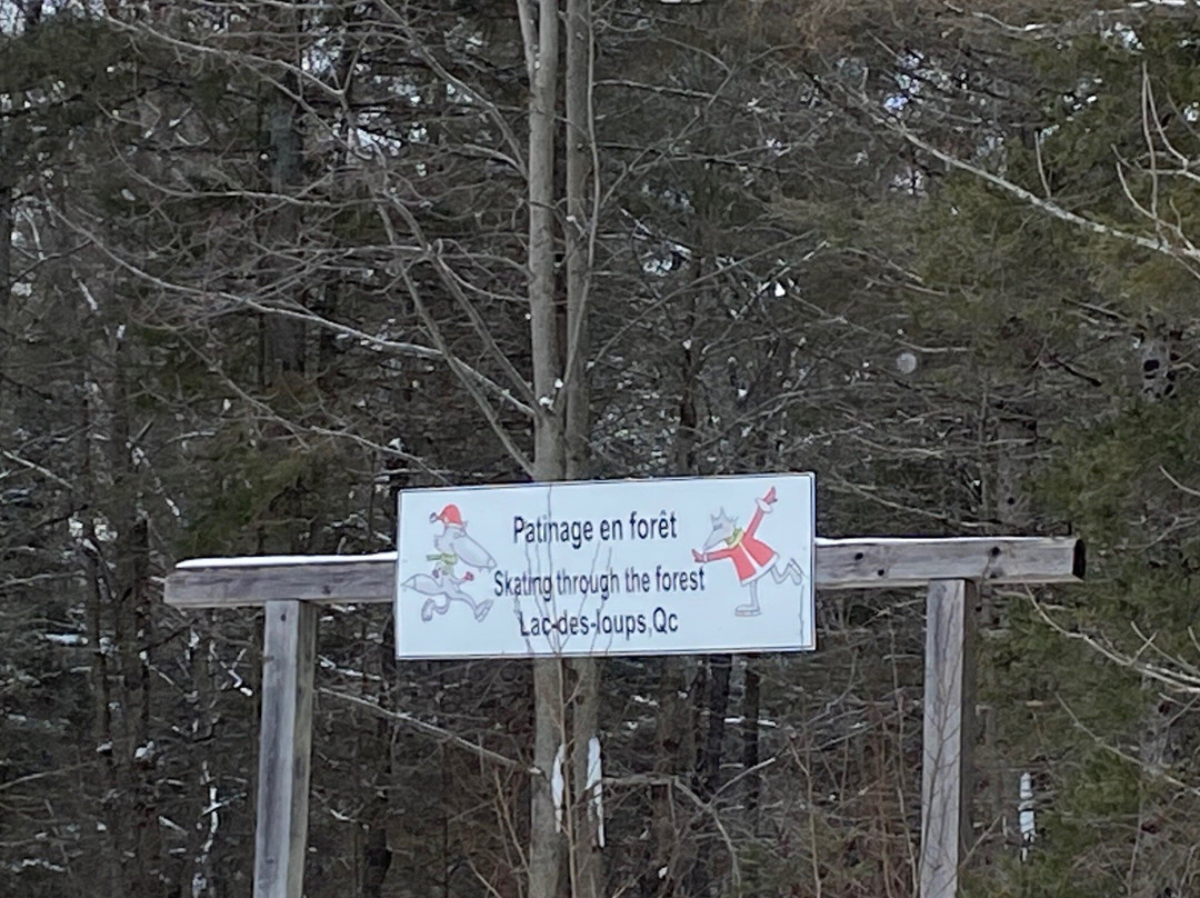 Patinage En Foret-Lac-des-Loups必去景点