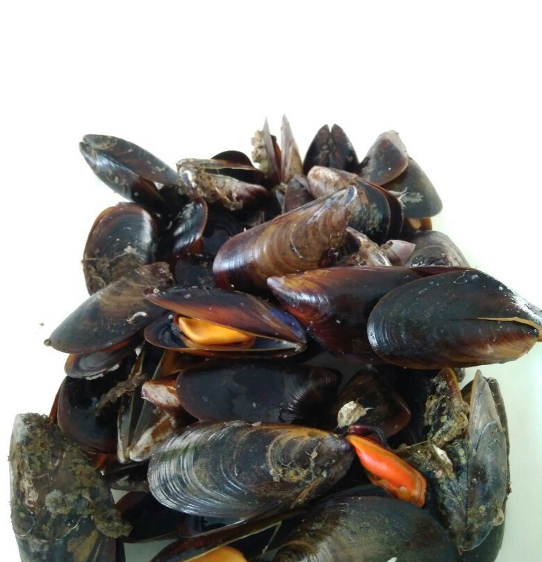 Mares Do Grove-格罗韦必去景点