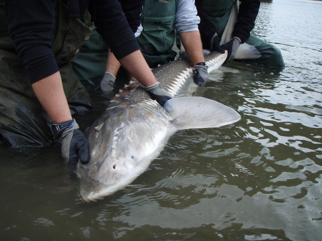 Double Header Sport Fishing