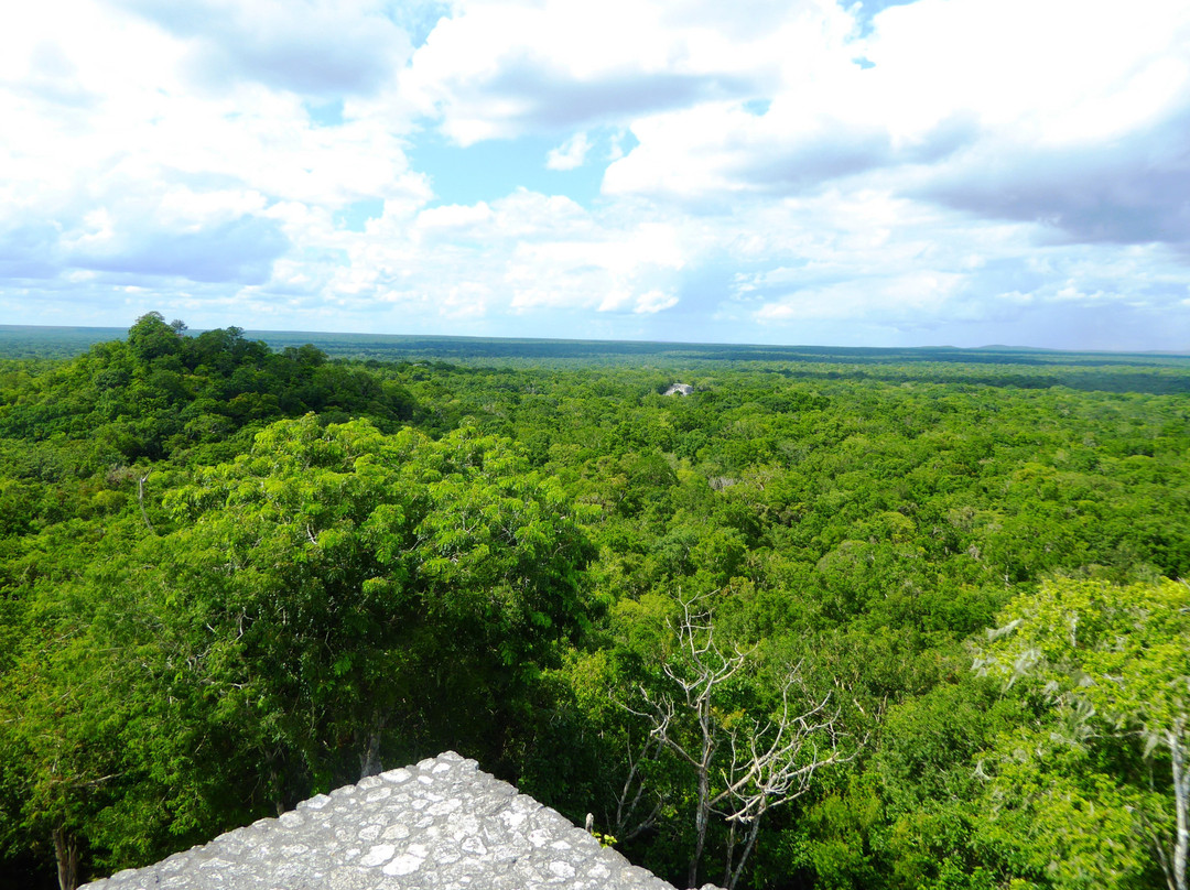 Reserva de la Biosfera de Calakmul景点图片