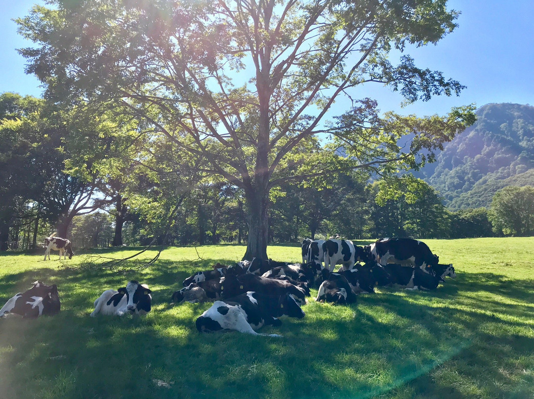 Togakushi Farm-长野县必去景点
