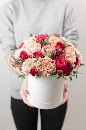 Plaza Shopping Niterói-尼泰罗伊必去景点