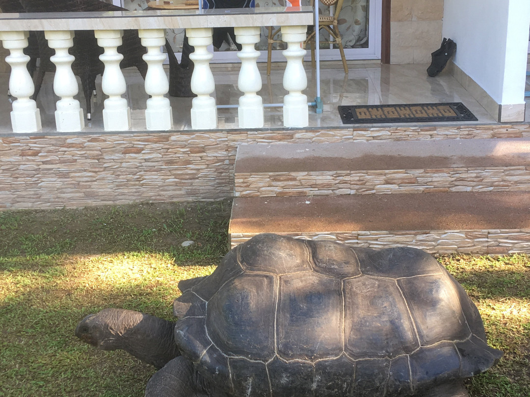 Chalets Bamboo Vert主图