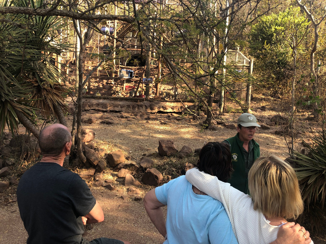 Bambelela Wildlife Care&Vervet Monkey Rehabilitation Farm-贝拉贝拉必去景点