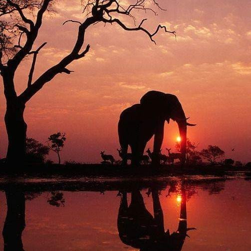 Udawalawe Safari Fun-乌达瓦拉瓦必去景点