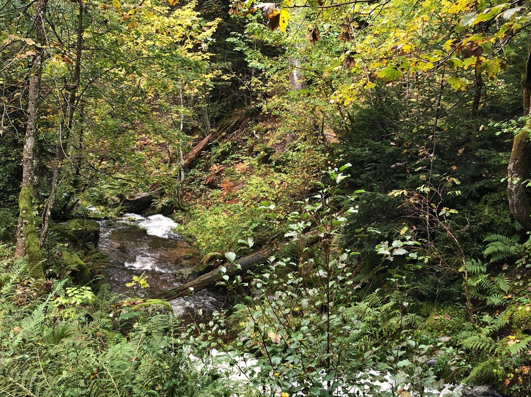 Todtmoos Waterfall-Todtmoos必去景点