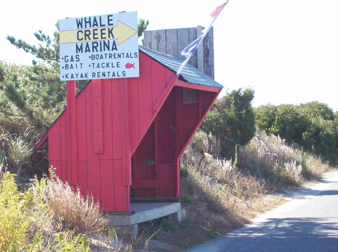 Whale Creek Marina景点图片