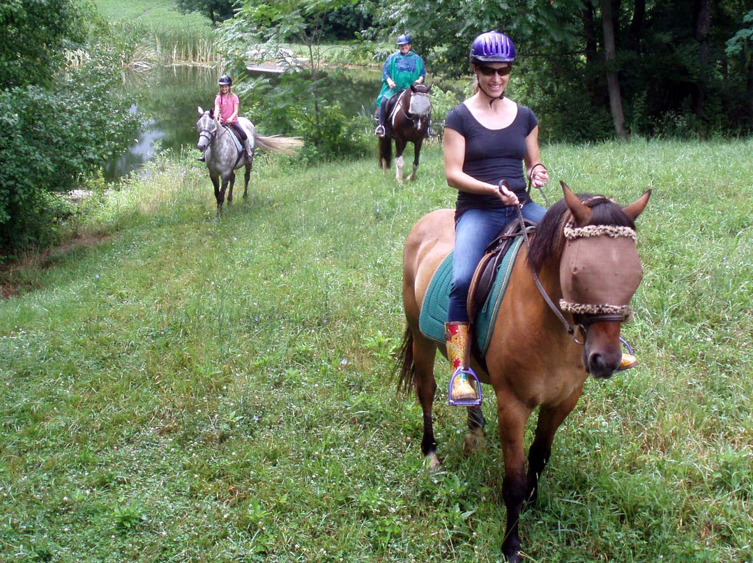 First Farm Inn Horseback Riding景点图片