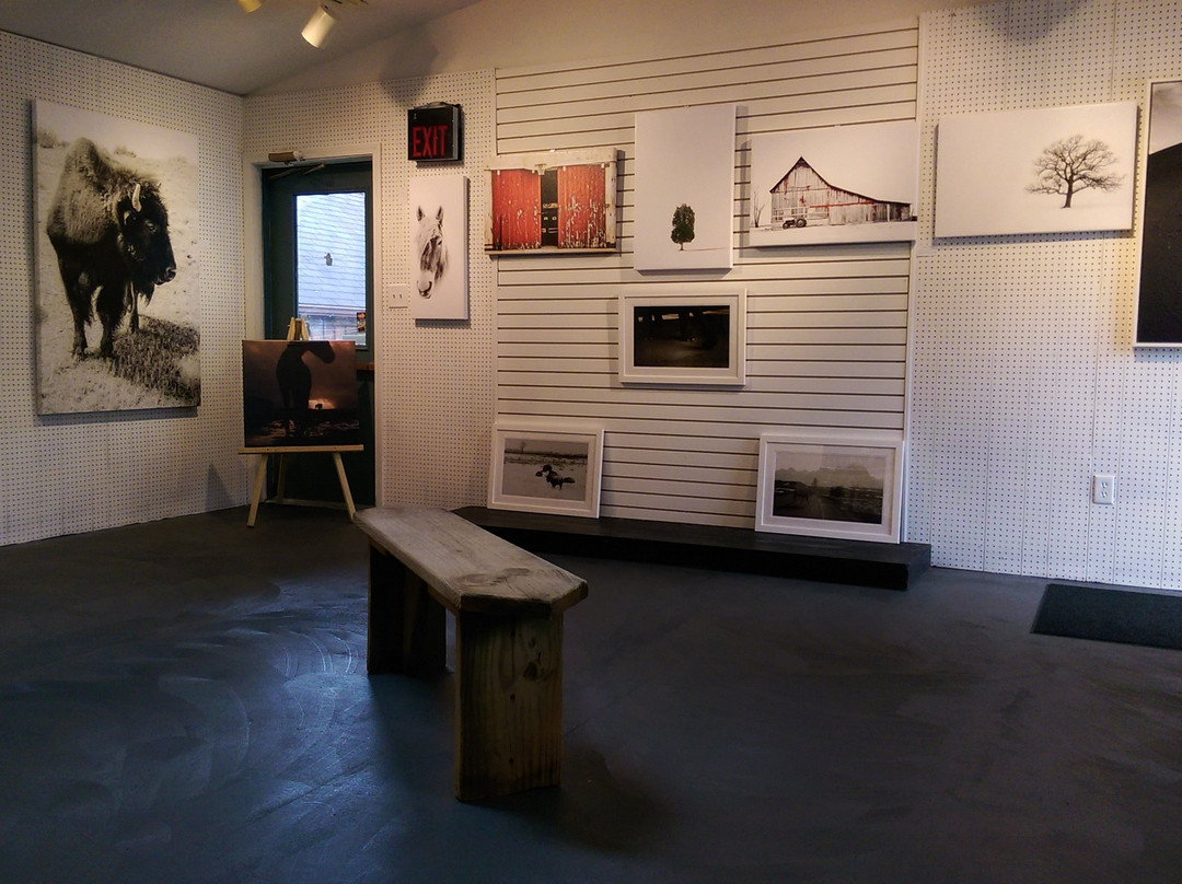 Joseph Sanders Gallery