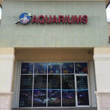 Neptunes Aquariums景点图片
