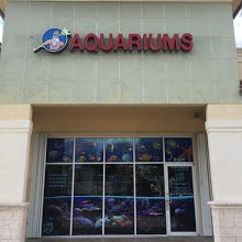 Neptunes Aquariums