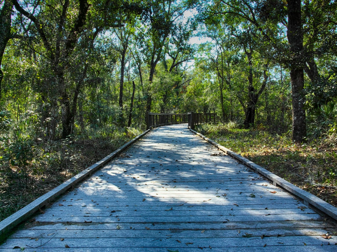 Brooker Creek Preserve