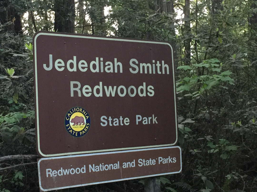 Jedediah Smith Redwoods State Park Visitor Center景点图片