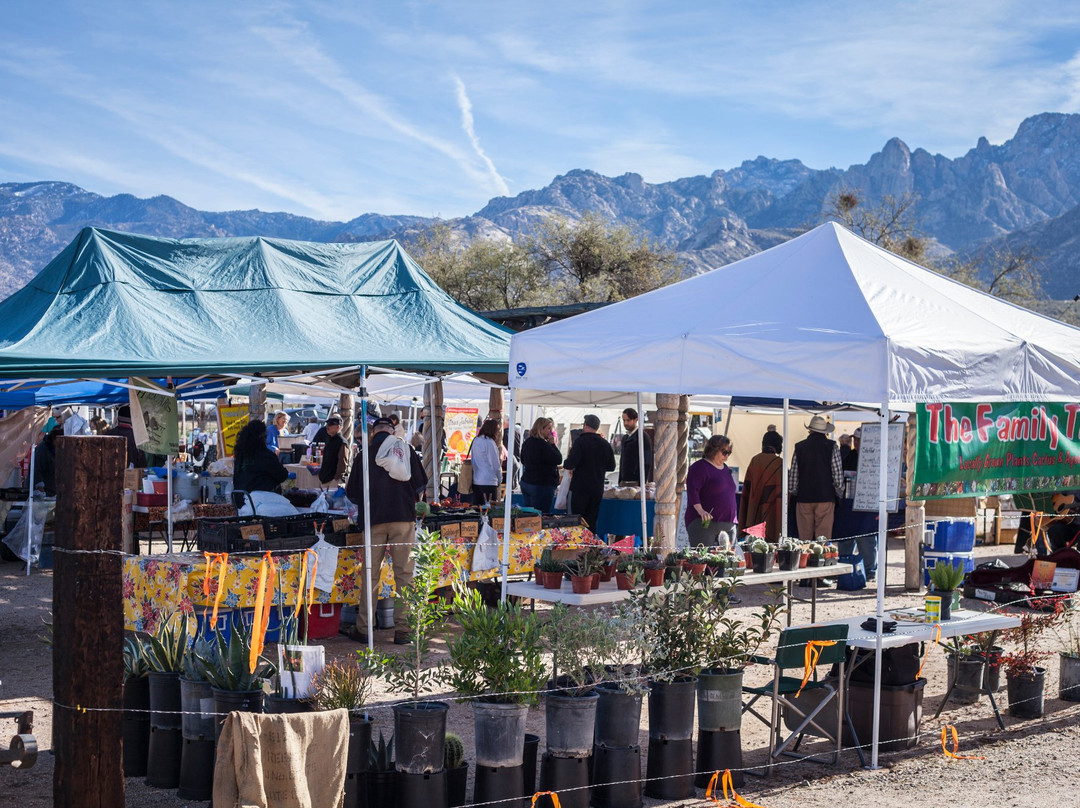 Oro Valley旅游景点-Oro Valley Farmers Market