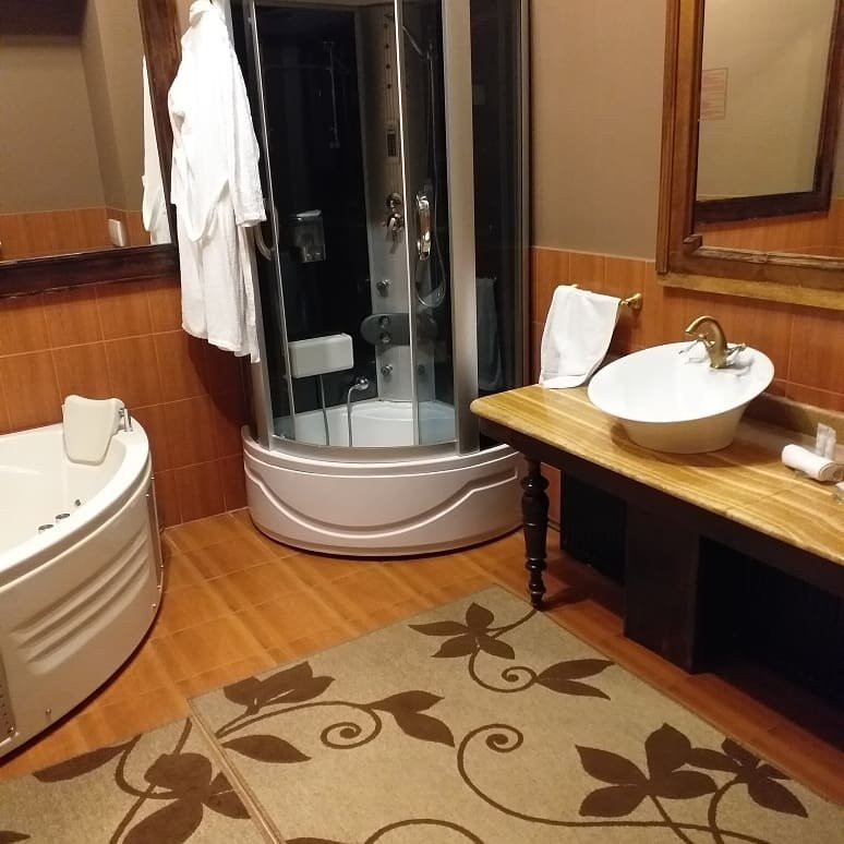 Hotel Poesis Satu Mare主图