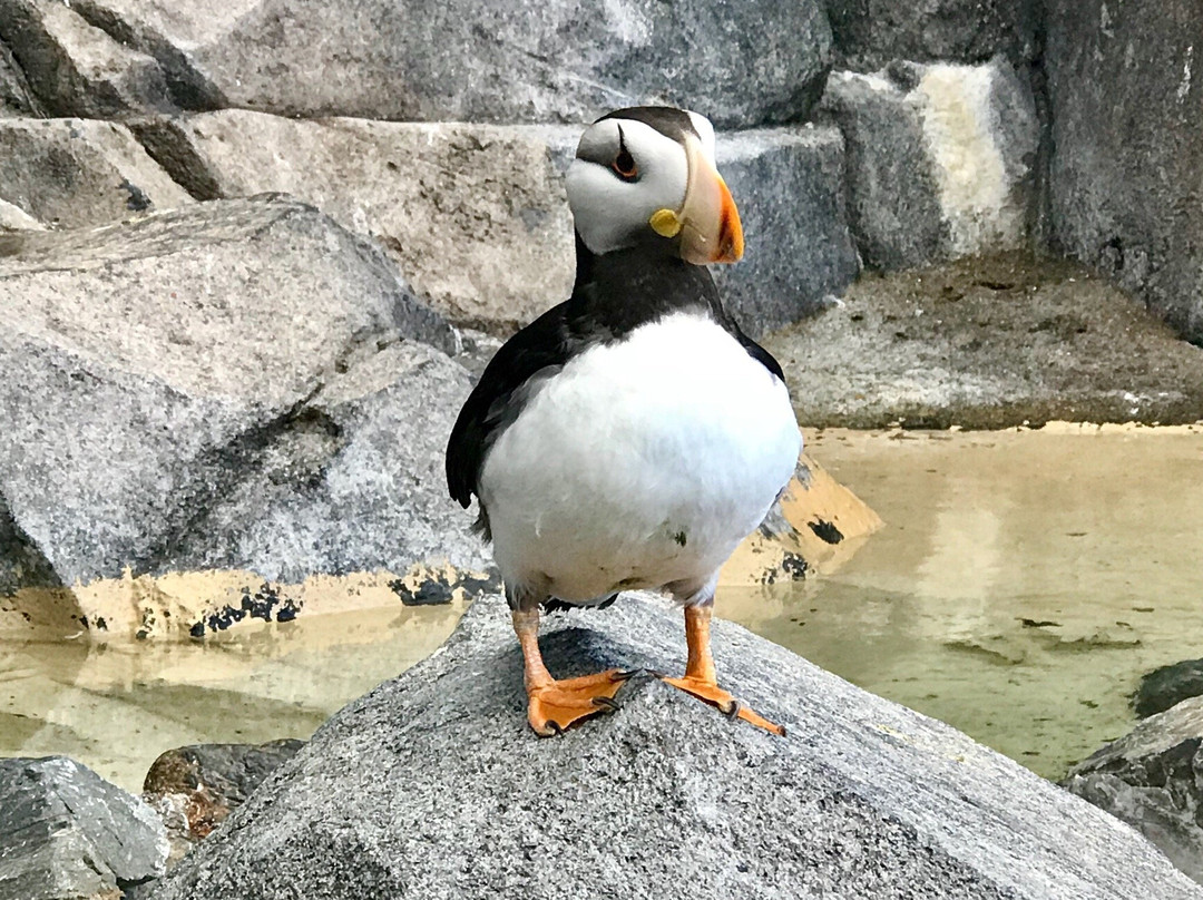 苏厄德旅游景点-阿拉斯加海洋生物中心