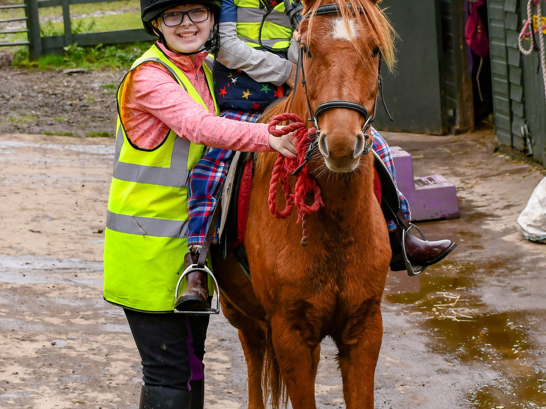 Haughhead Stables-Innerleithen必去景点