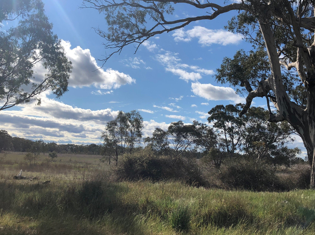 Lake Booroopki-Minimay必去景点