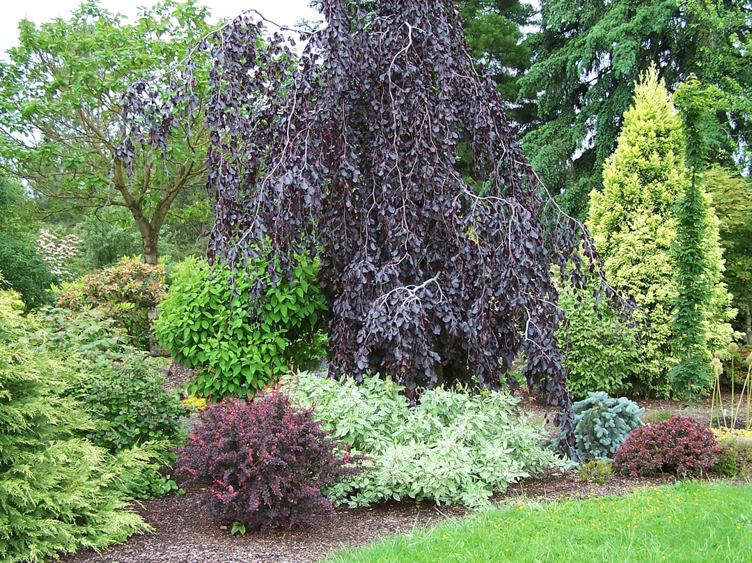 Malone旅游景点-Lael's Moon Garden Nursery